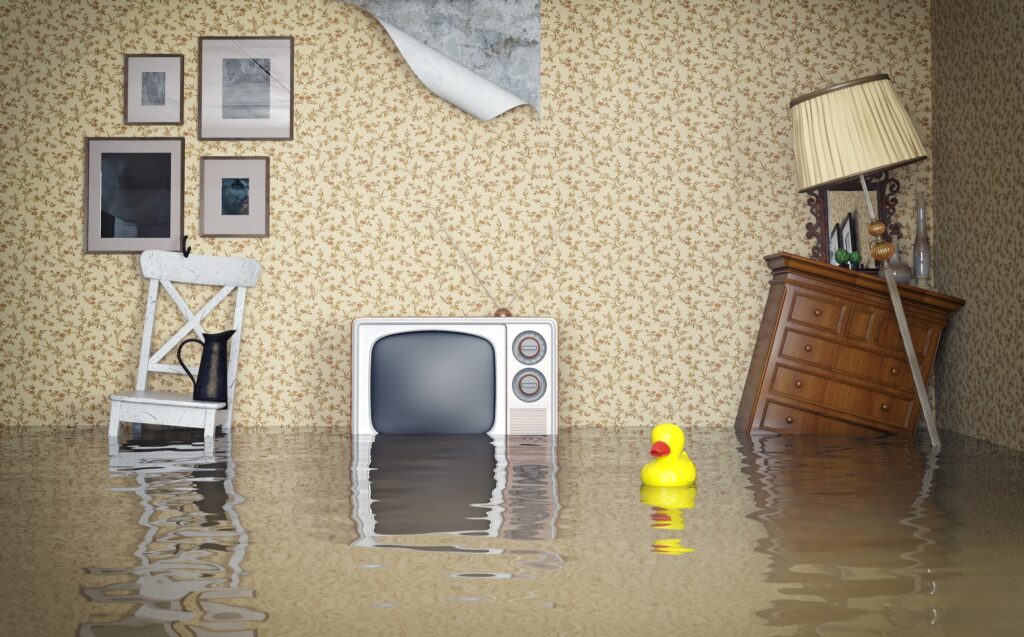 Experiencing Temporary Disarray in Your Home? A Personal Assistant Can Help!